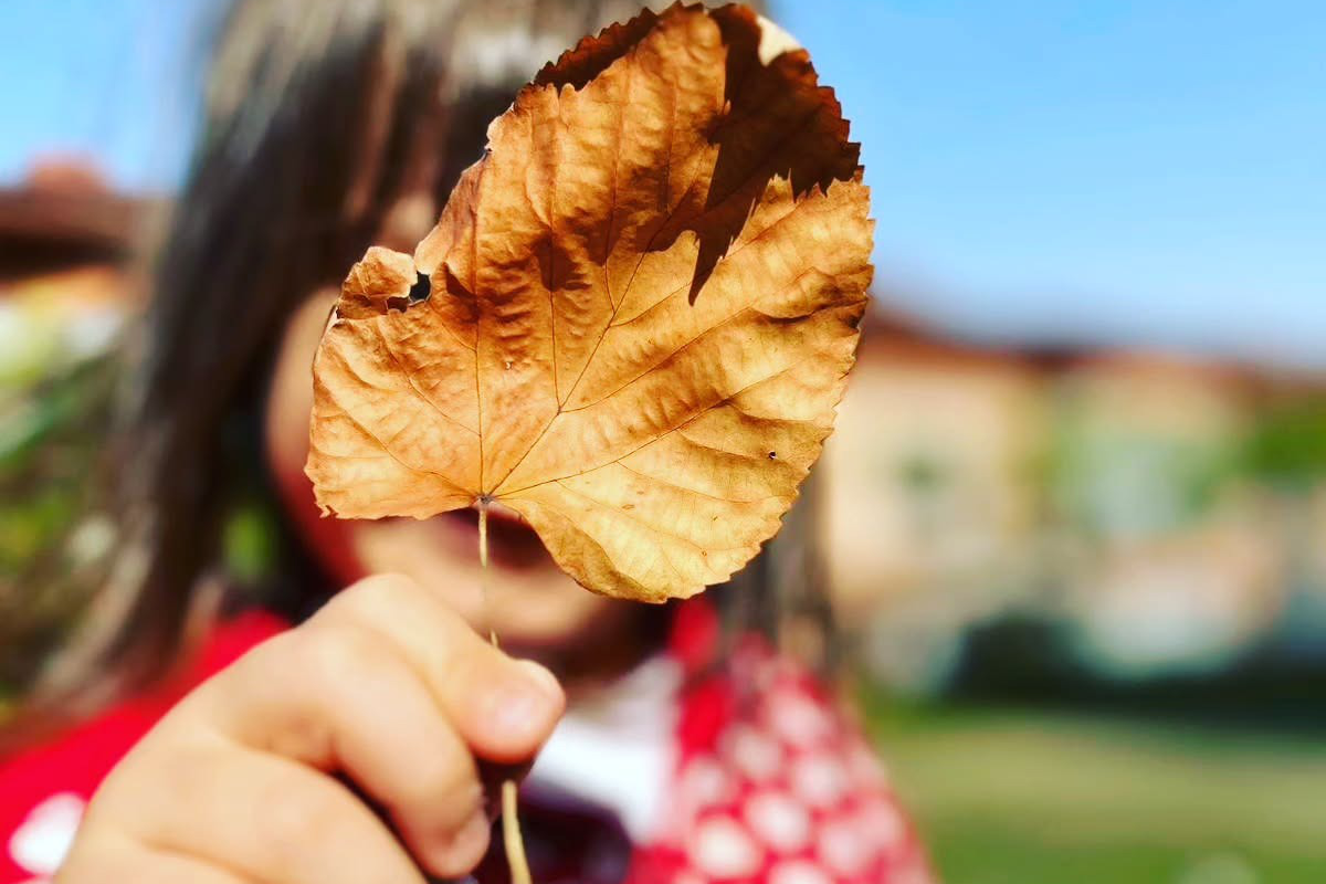 Abaküs Anaokulu ile oyun temelli öğrenme modeli Yaprak Tutan Kız Çocuğu
